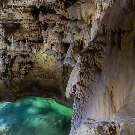 #6 The Root Cellar At Garrison In Gruene Βίλα New Braunfels Εξωτερικό φωτογραφία